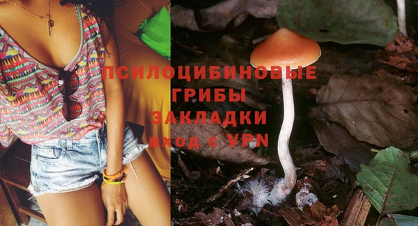 дурь Кулебаки