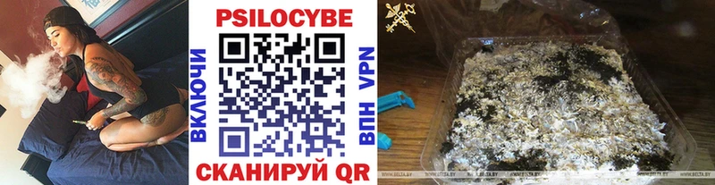 Купить  Аша  Галлюциногенные грибы прущие грибы 